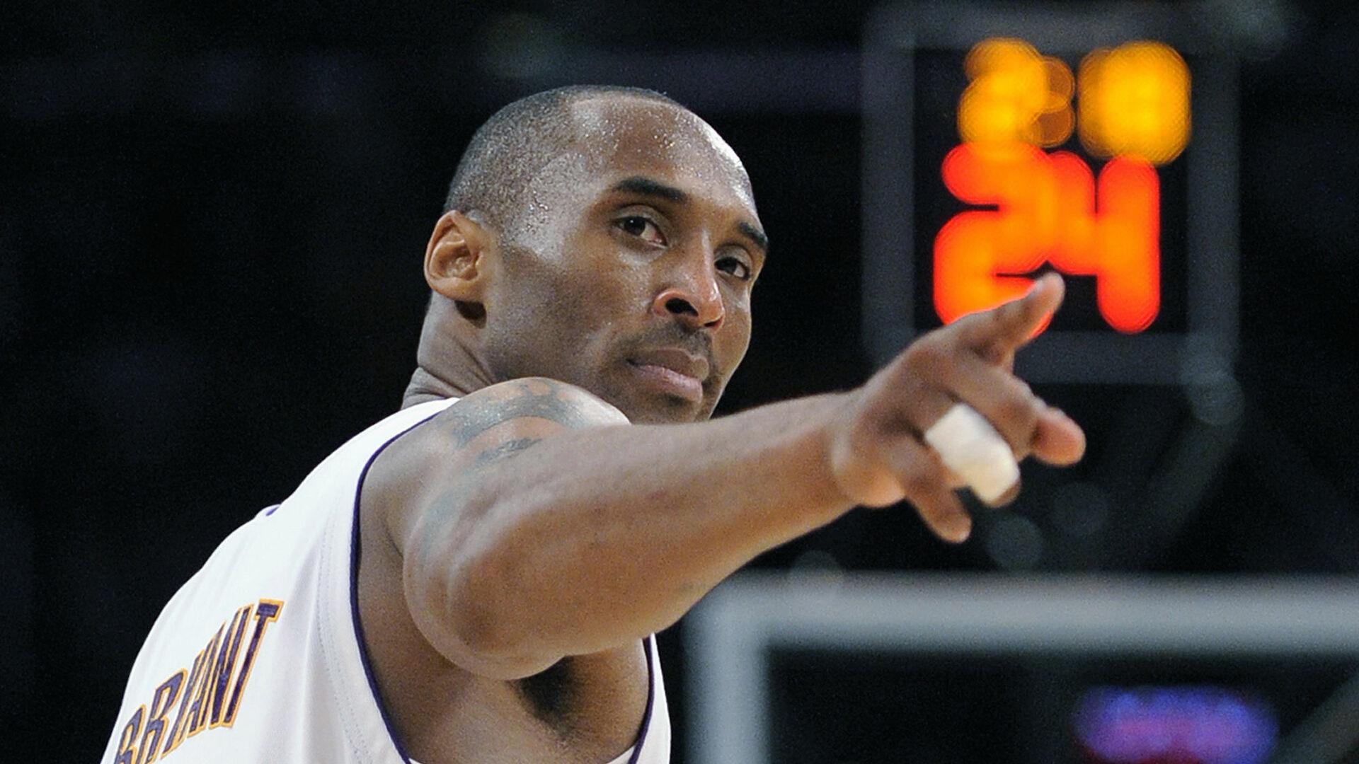 宣布参展科 宣布参展科